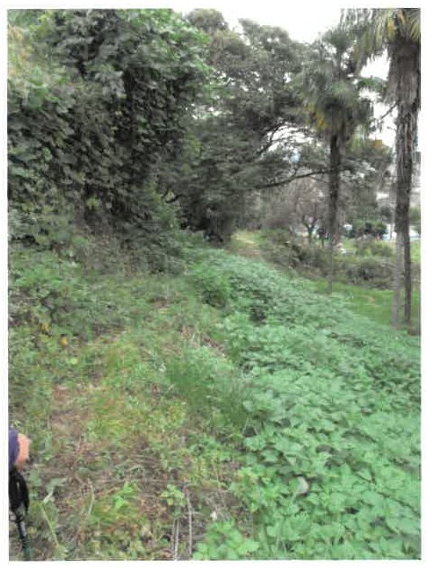 富士宮市大中里字白土
1007番1の物件写真 5枚目