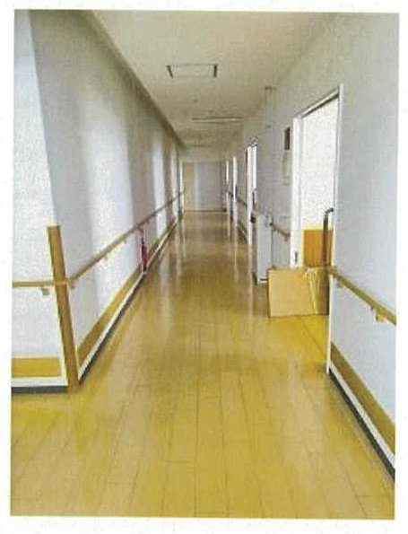 松山市樽味四丁目
231番1の物件写真 19枚目