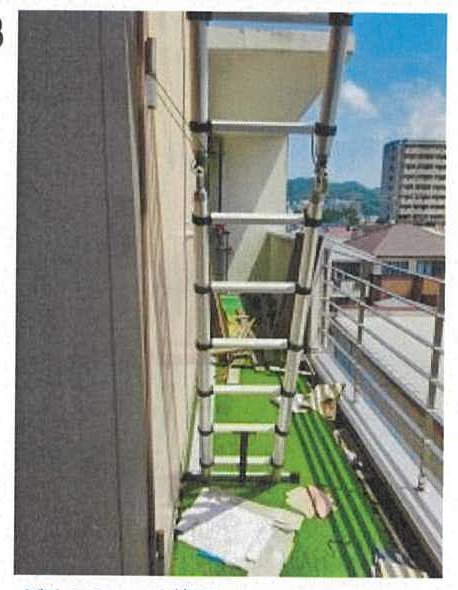 松山市樽味四丁目
231番1の物件写真 43枚目