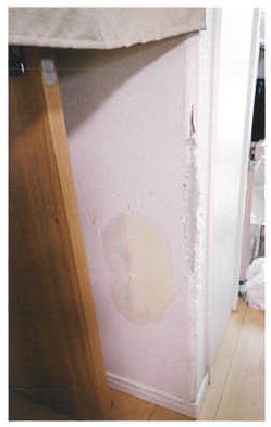 柏市手賀の杜四丁目
11番1の物件写真 6枚目