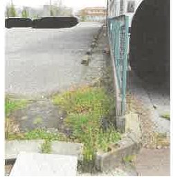 彦根市平田町字三十地
407番1の物件写真 4枚目