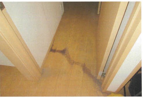 柏市富里三丁目
806番44の物件写真 32枚目