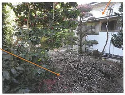 竹原市竹原町字奈良屋谷
2989番2の物件写真 12枚目