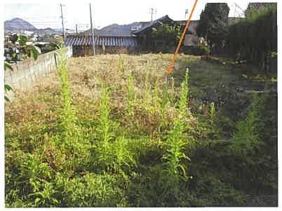 竹原市竹原町字奈良屋谷
2989番2の物件写真 36枚目