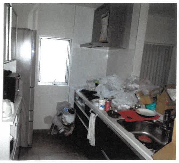 名古屋市南区南野二丁目
301番1の物件写真 3枚目