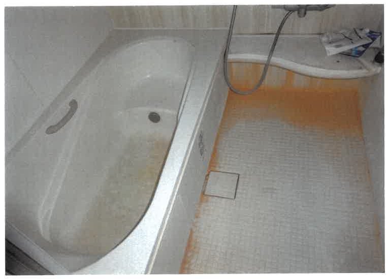名古屋市南区南野二丁目
301番1の物件写真 4枚目