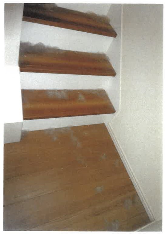 名古屋市南区南野二丁目
301番1の物件写真 5枚目