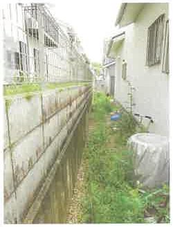 彦根市正法寺町字鳥籠山
110番122の物件写真 3枚目