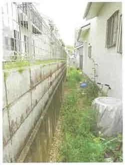 彦根市正法寺町字鳥籠山
110番122の物件写真 サムネイル3